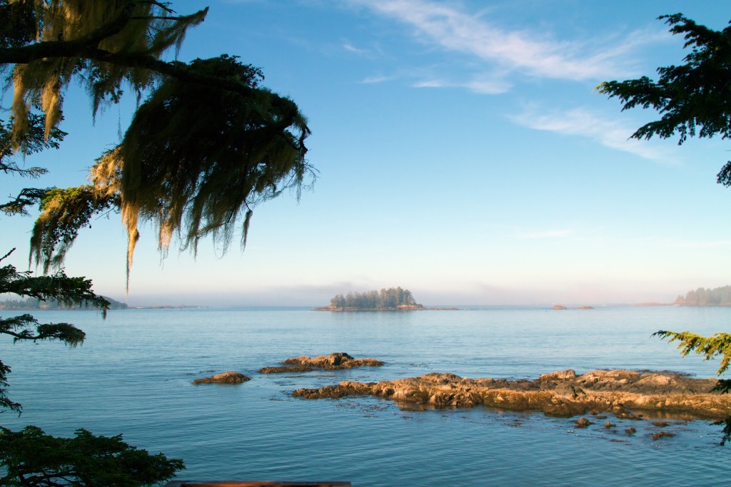 Tofino