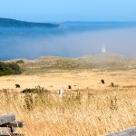 Mist-over-de-Puget_Slider
