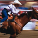 Calgary Stampede