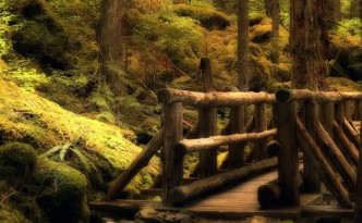 Olympic National Park