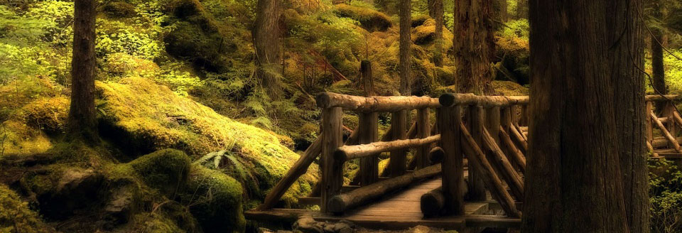 Olympic National Park