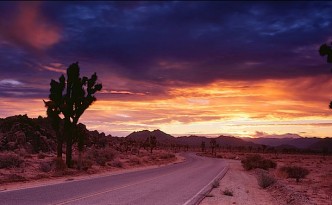 Joshua Tree National Park