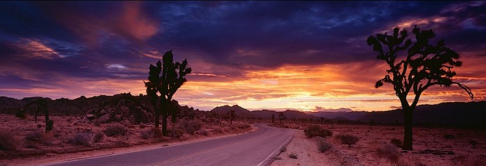 Joshua Tree National Park