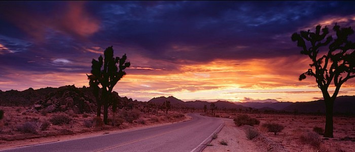 Joshua Tree National Park
