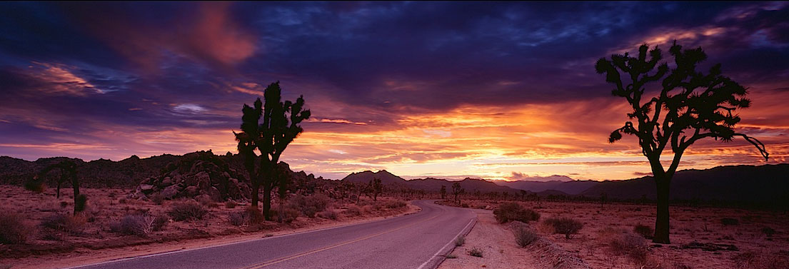 Joshua Tree National Park