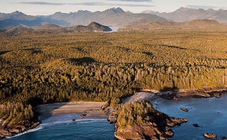 Tofino