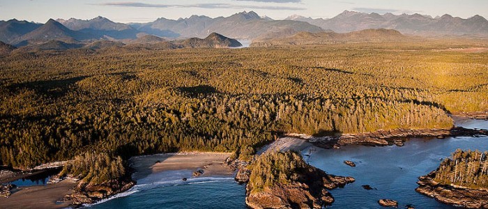 Tofino