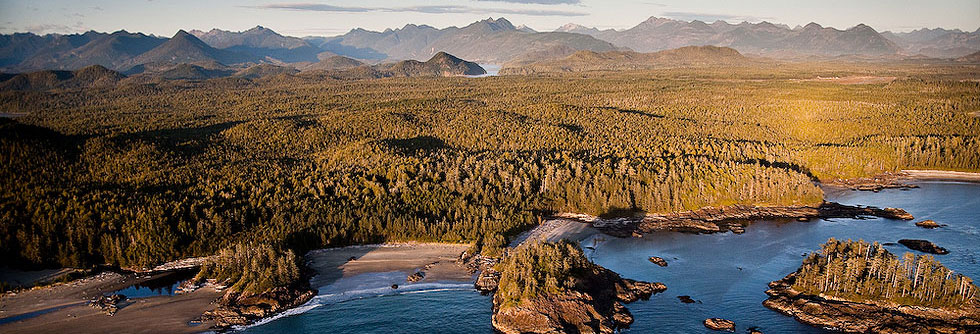Tofino